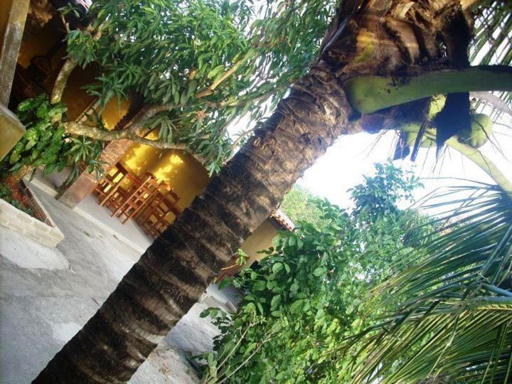 Pousada Agua De Coco Prado Eksteriør billede