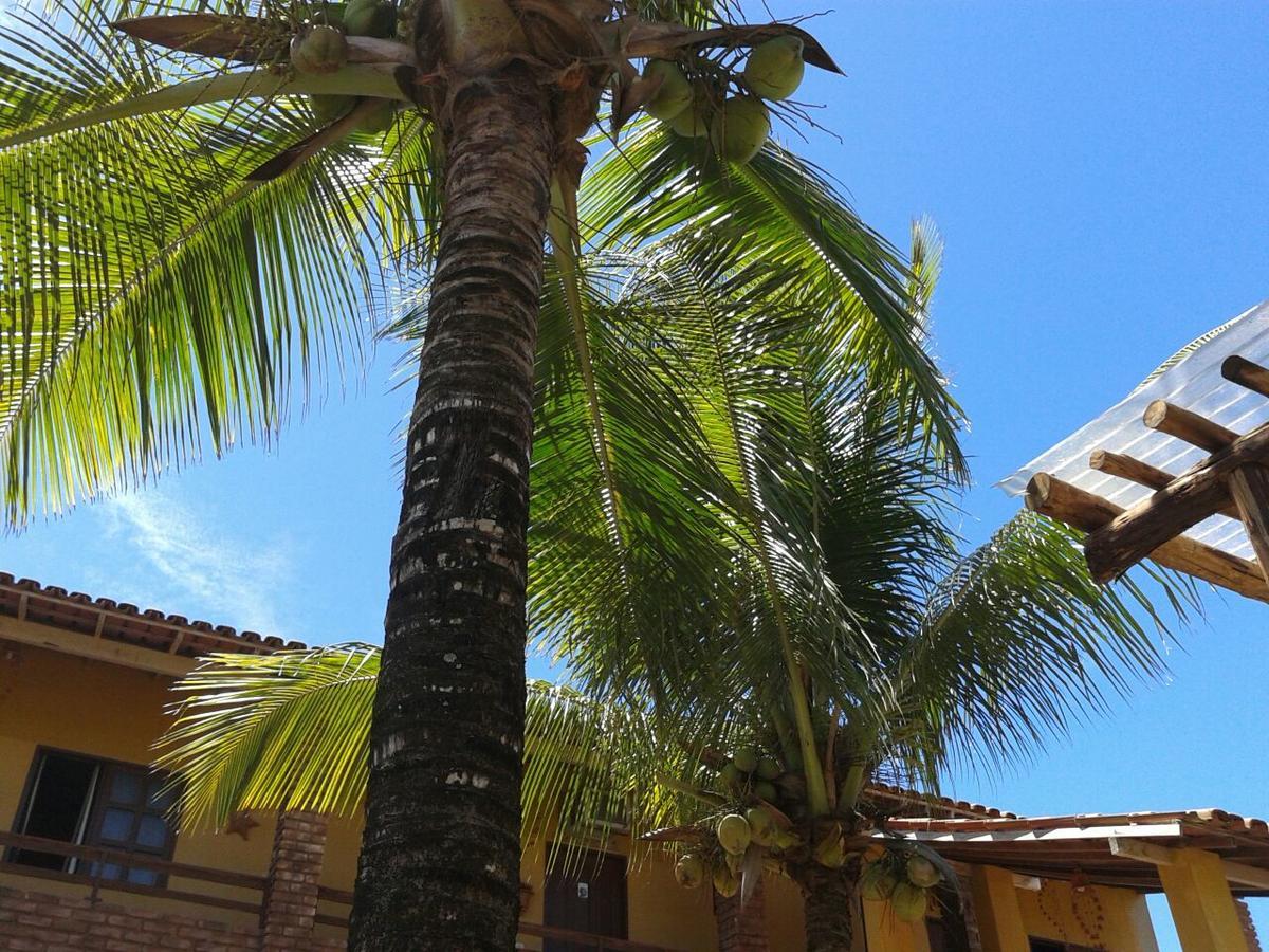 Pousada Agua De Coco Prado Eksteriør billede